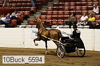 10buck_5594 proof