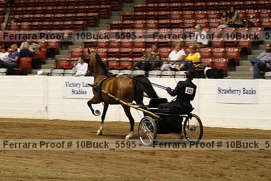 Proof 10buck_5595