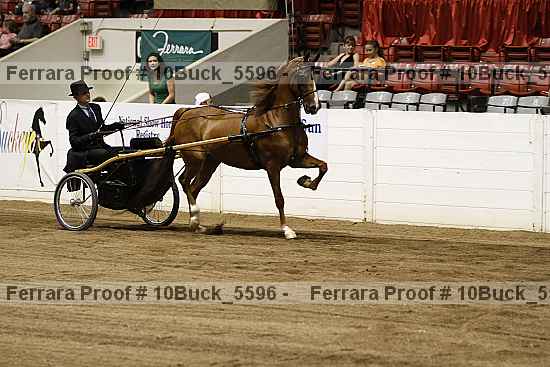 Proof 10buck_5596