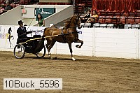 10buck_5596 proof