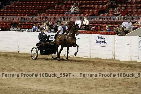 Proof 10buck_5597