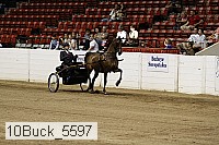 10buck_5597 proof