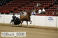 10buck_5598 proof