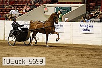 10buck_5599 proof