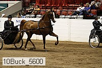 10buck_5600 proof