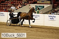 10buck_5601 proof