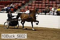 10buck_5602 proof