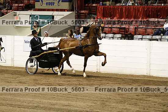 Proof 10buck_5603