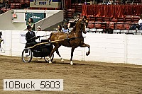 10buck_5603 proof