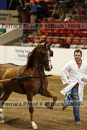 Proof 10buck_5606