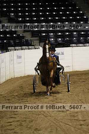 Proof 10buck_5607