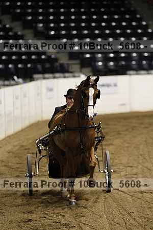 Proof 10buck_5608