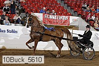 10buck_5610 proof