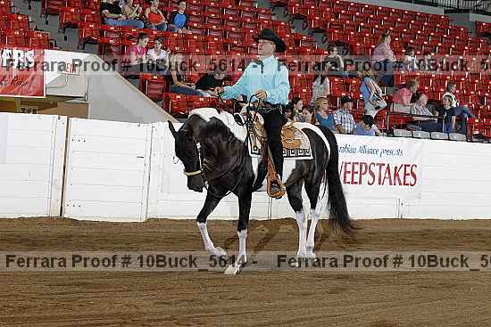 Proof 10buck_5614