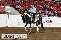 10buck_5614 proof
