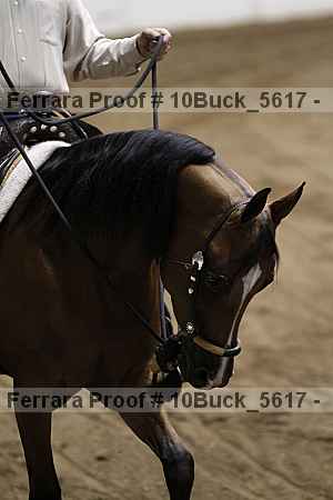 Proof 10buck_5617