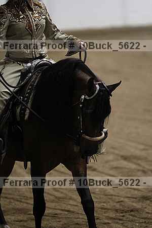 Proof 10buck_5622