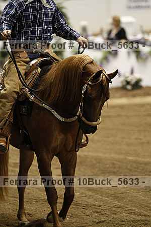 Proof 10buck_5633