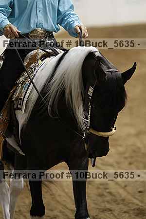 Proof 10buck_5635
