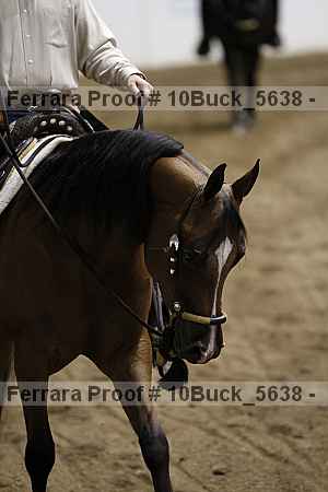 Proof 10buck_5638