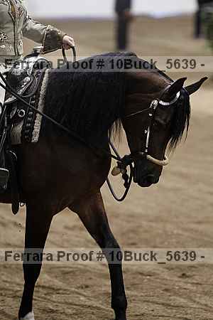 Proof 10buck_5639