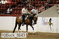 10buck_5643 proof