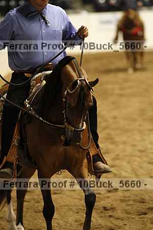 Proof 10buck_5660