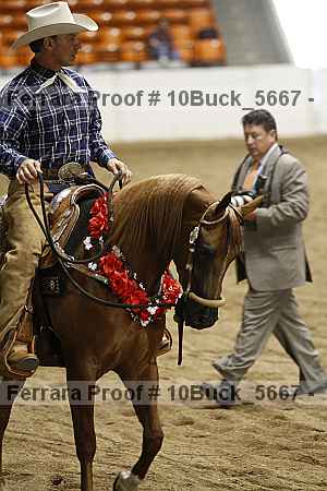 Proof 10buck_5667