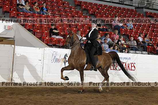 Proof 10buck_5670