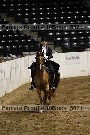 Proof 10buck_5671