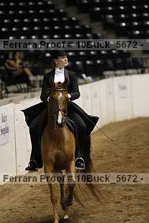 Proof 10buck_5672