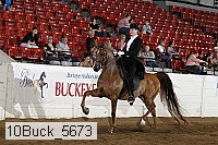 10buck_5673 proof