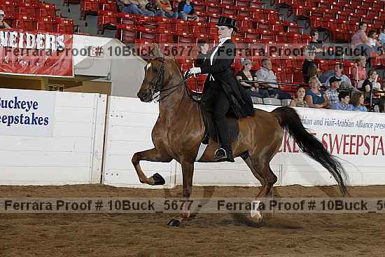 Proof 10buck_5677