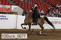 10buck_5677 proof