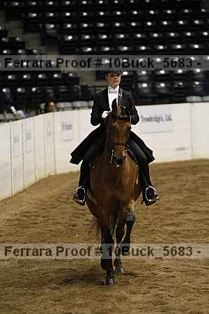 Proof 10buck_5683