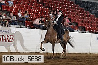 10buck_5688 proof