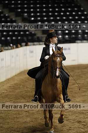 Proof 10buck_5691