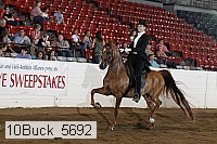 10buck_5692 proof