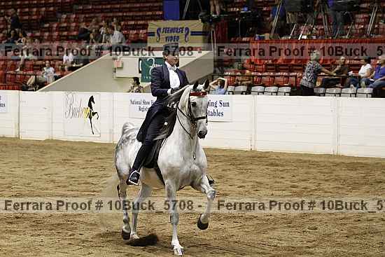 Proof 10buck_5708