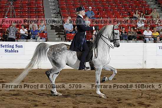 Proof 10buck_5709