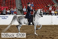 10buck_5709 proof