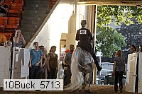 10buck_5713 proof