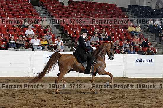 Proof 10buck_5718