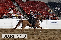 10buck_5718 proof