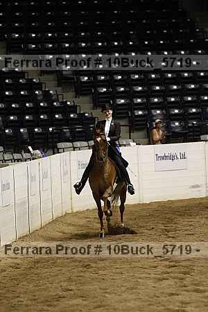 Proof 10buck_5719