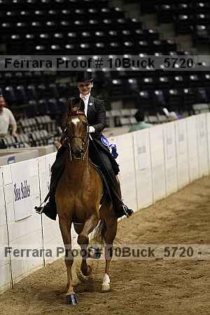 Proof 10buck_5720
