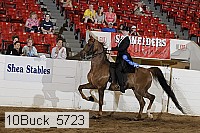 10buck_5723 proof