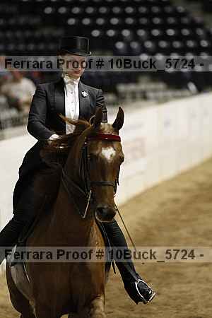 Proof 10buck_5724