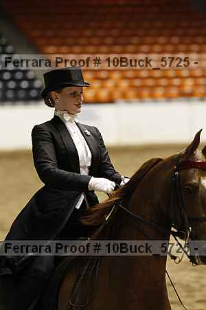 Proof 10buck_5725