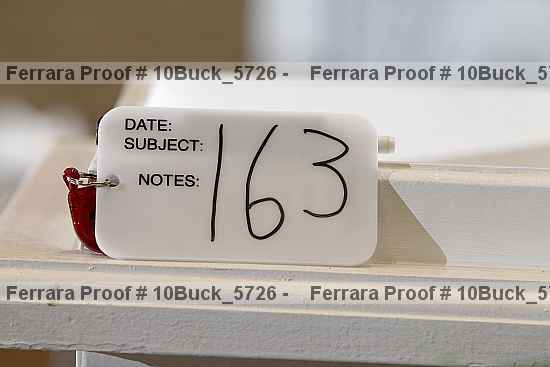 Proof 10buck_5726